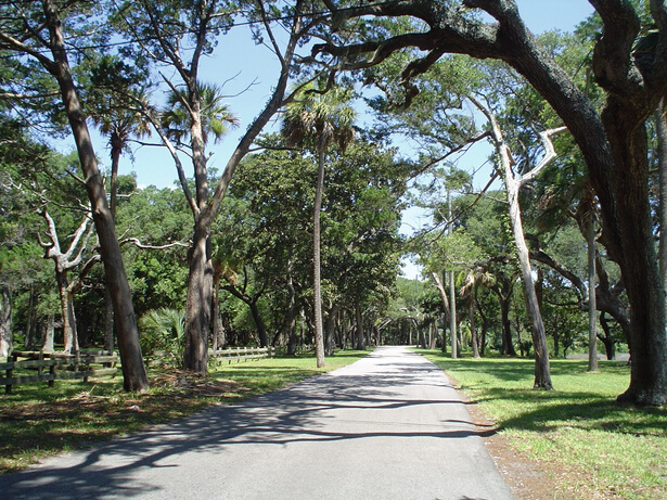 Canopy road, Fort George Island Florida